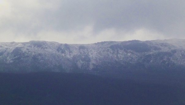 The snow on Mount Field